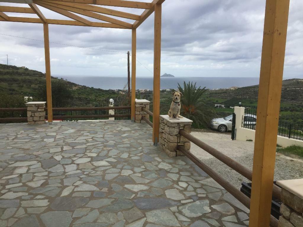 Villas Alexandros Petrino Kalamaki  Exterior foto